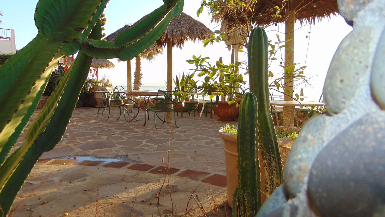 Photo of Others in La Fonda