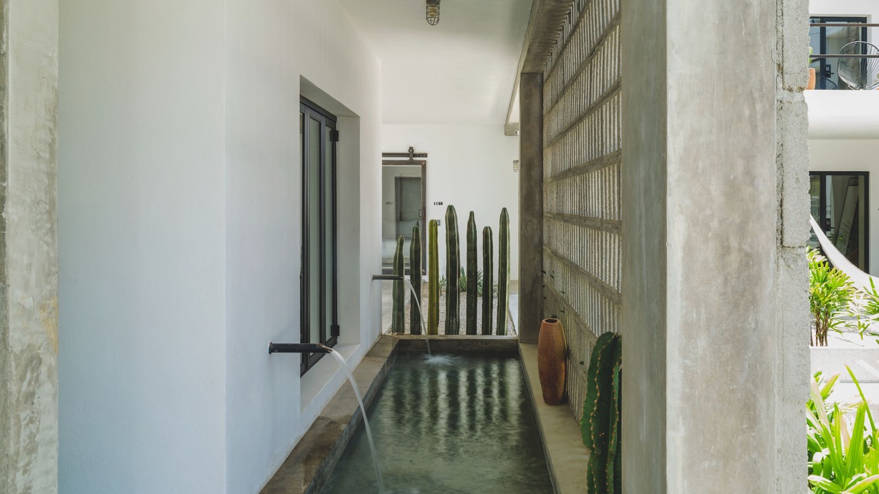 Photo of Outdoor in Downtown San Jose del Cabo