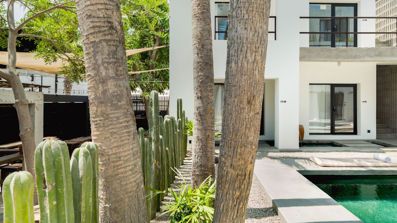 Photo of Outdoor in Downtown San Jose del Cabo
