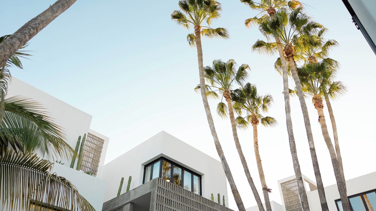 Photo of Outdoor in Downtown San Jose del Cabo