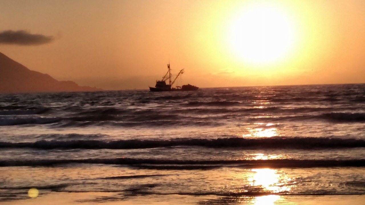 Photo of Others in Lengueta Arenosa