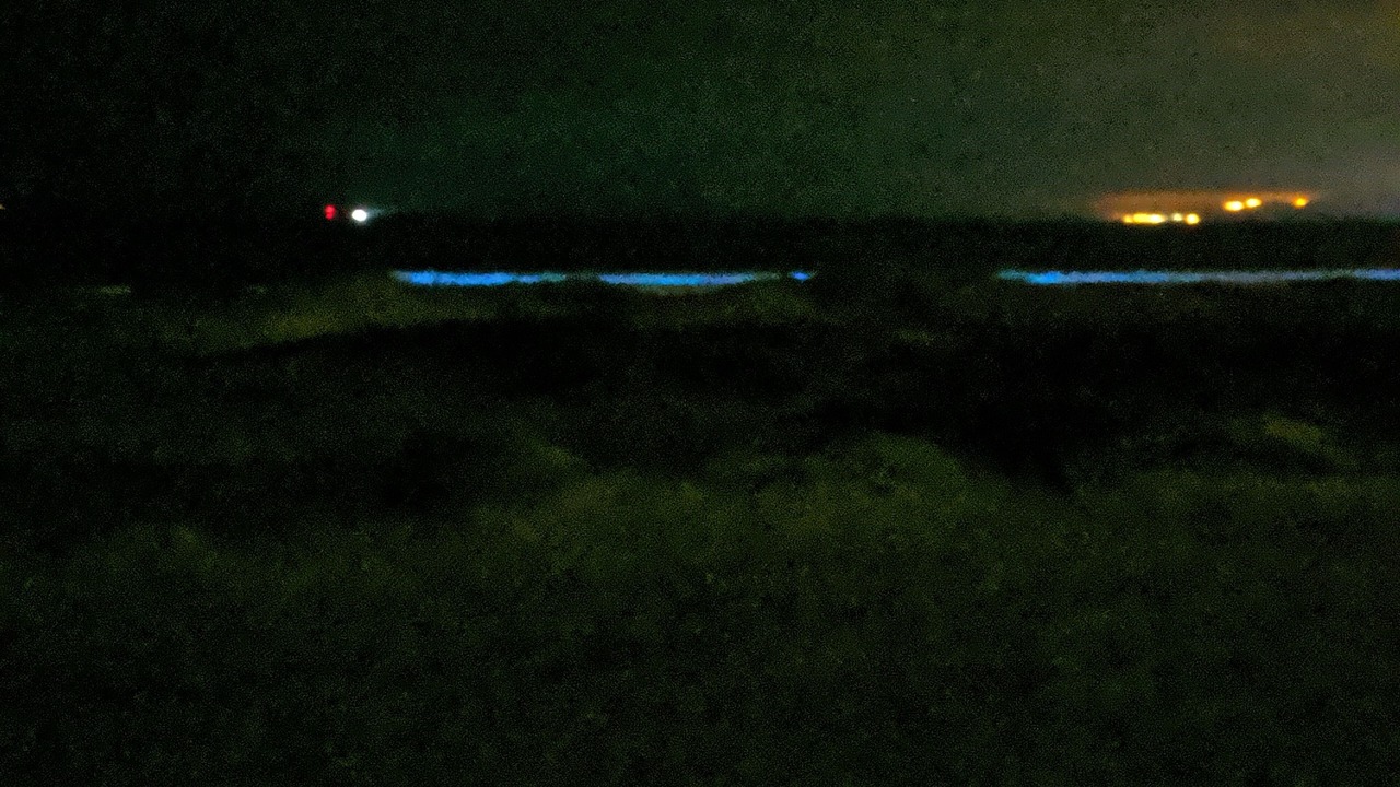 Photo of Outdoor in Lengueta Arenosa