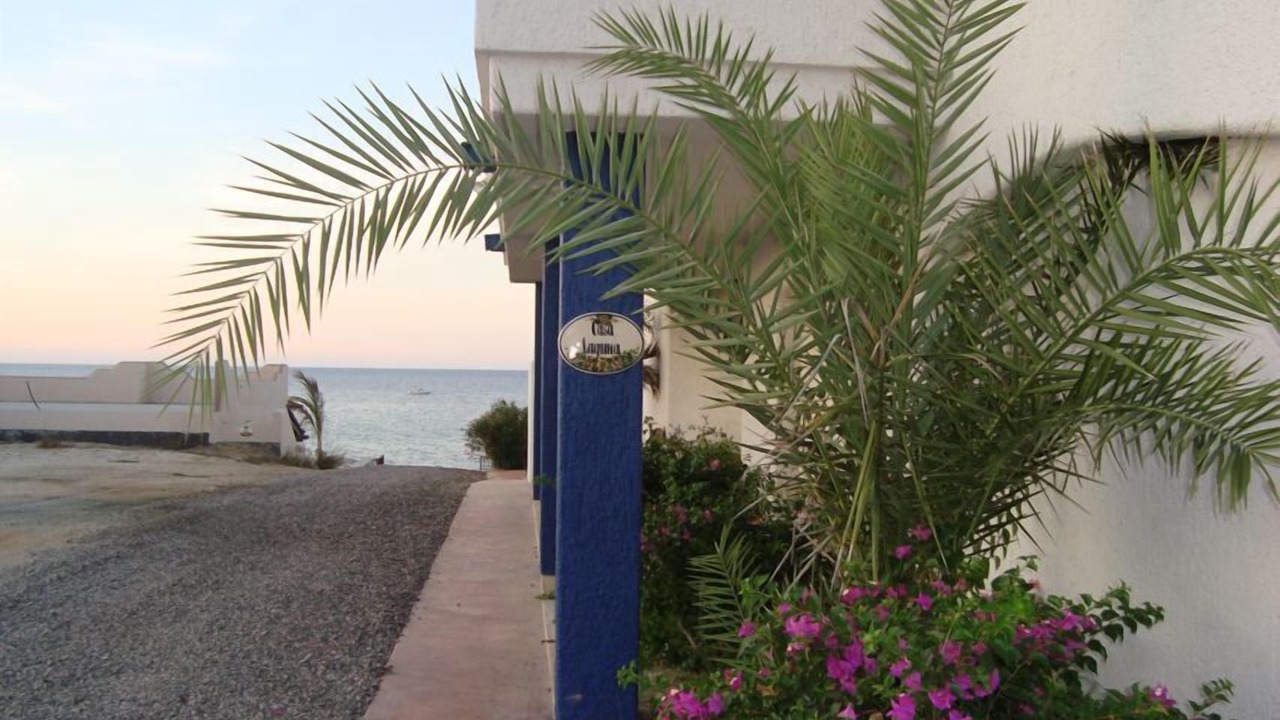 Photo of Outdoor in Buenavista