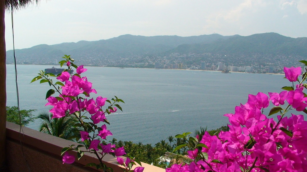 Photo of Outdoor in Las Brisas