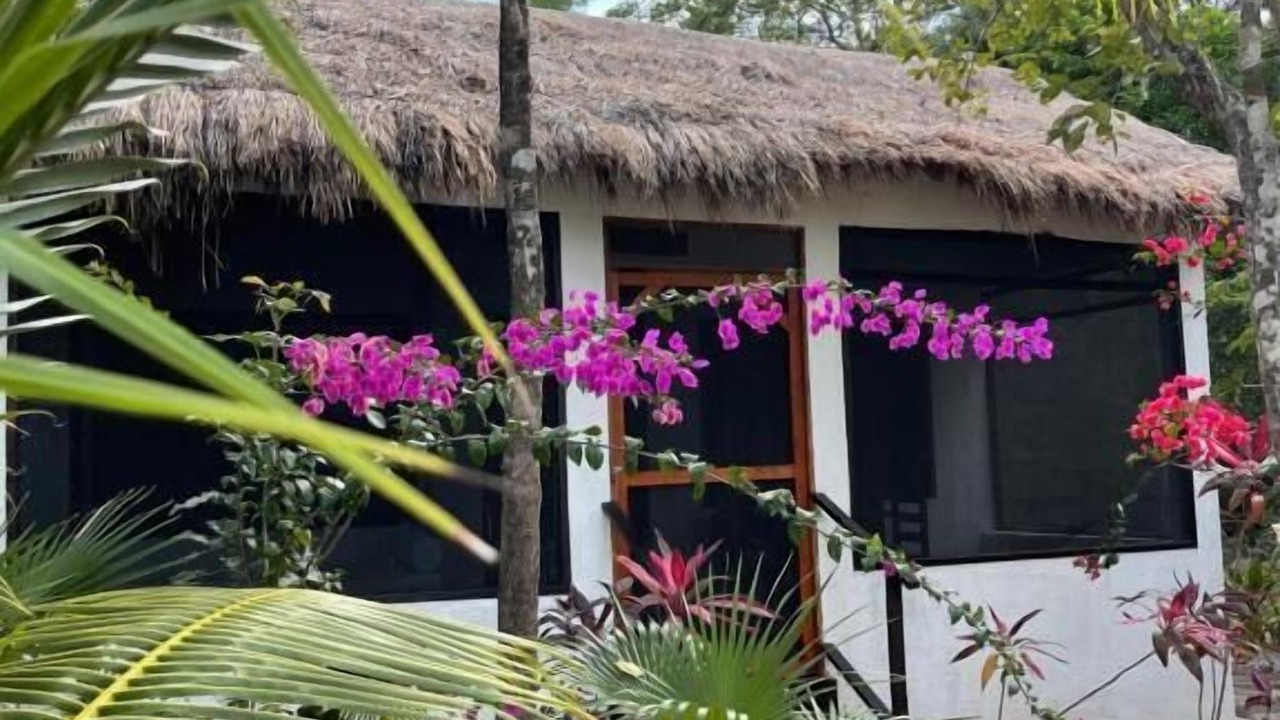 Photo of Outdoor in Akumal