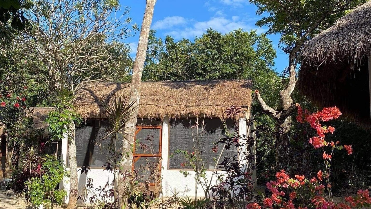 Photo of Outdoor in Akumal