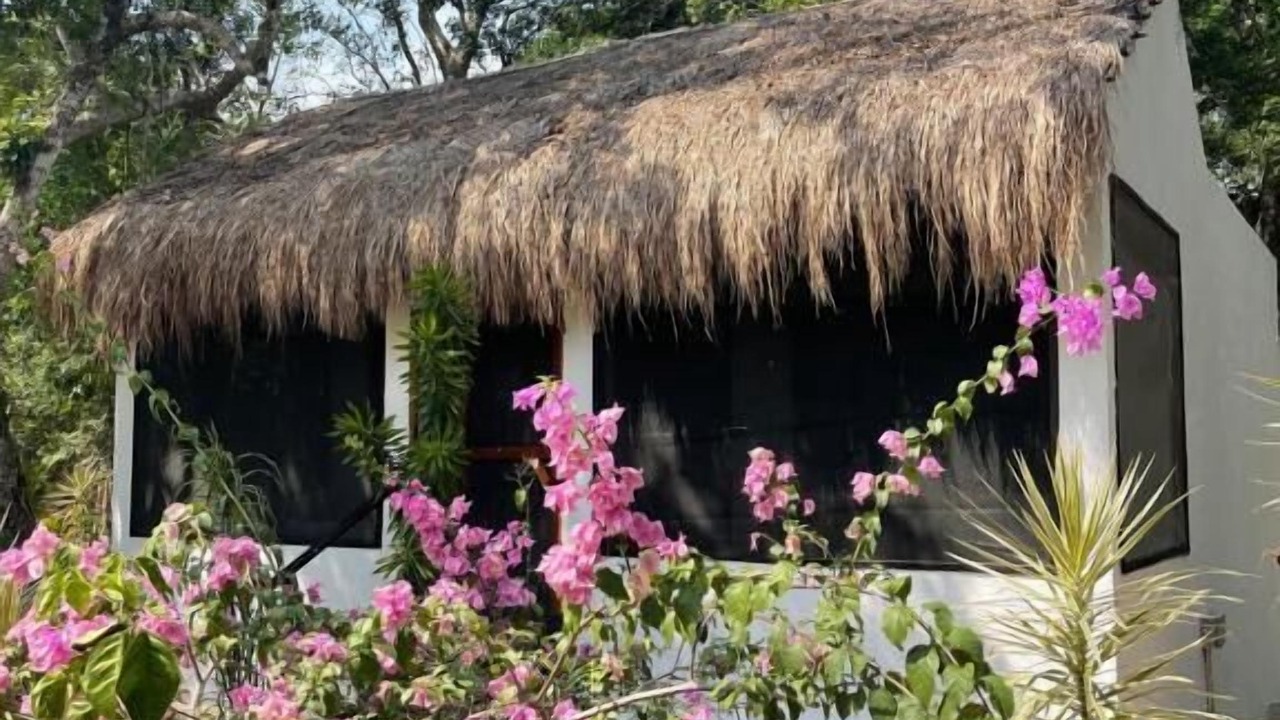 Photo of Outdoor in Akumal