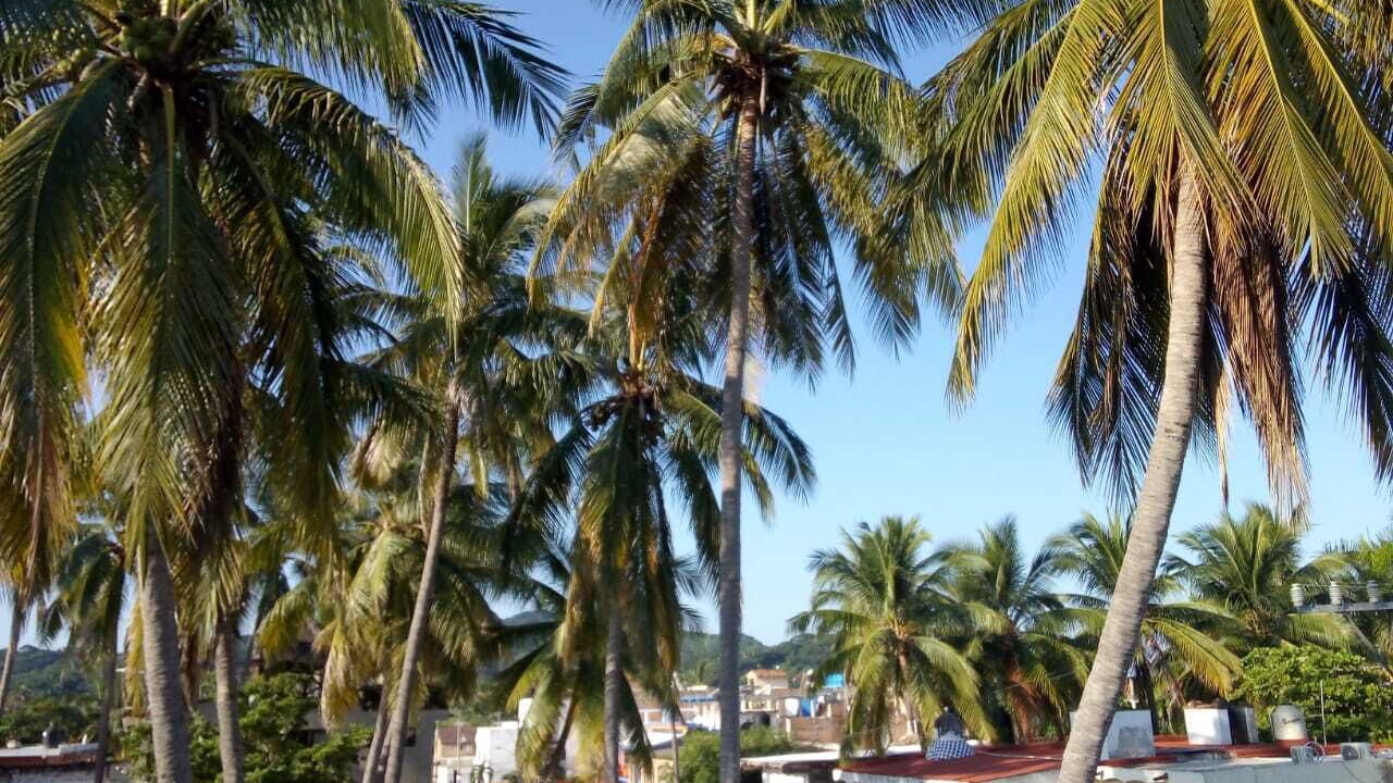 Photo of Outdoor in Lo de Marcos