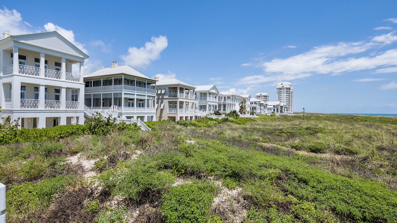 Photo of Outdoor in The Shores