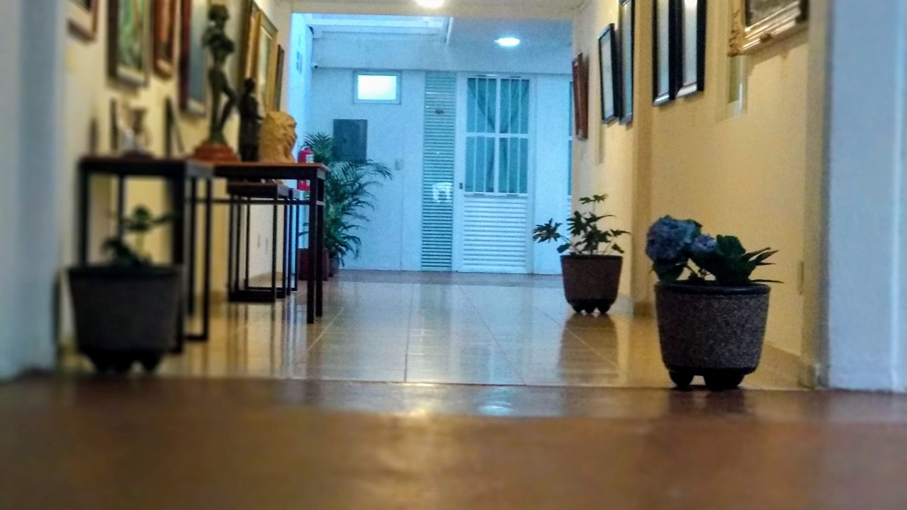 Photo of Livingroom in Leon Centro