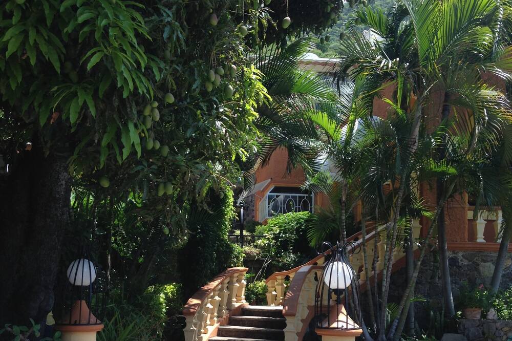 Photo of Outdoor in Ajijic