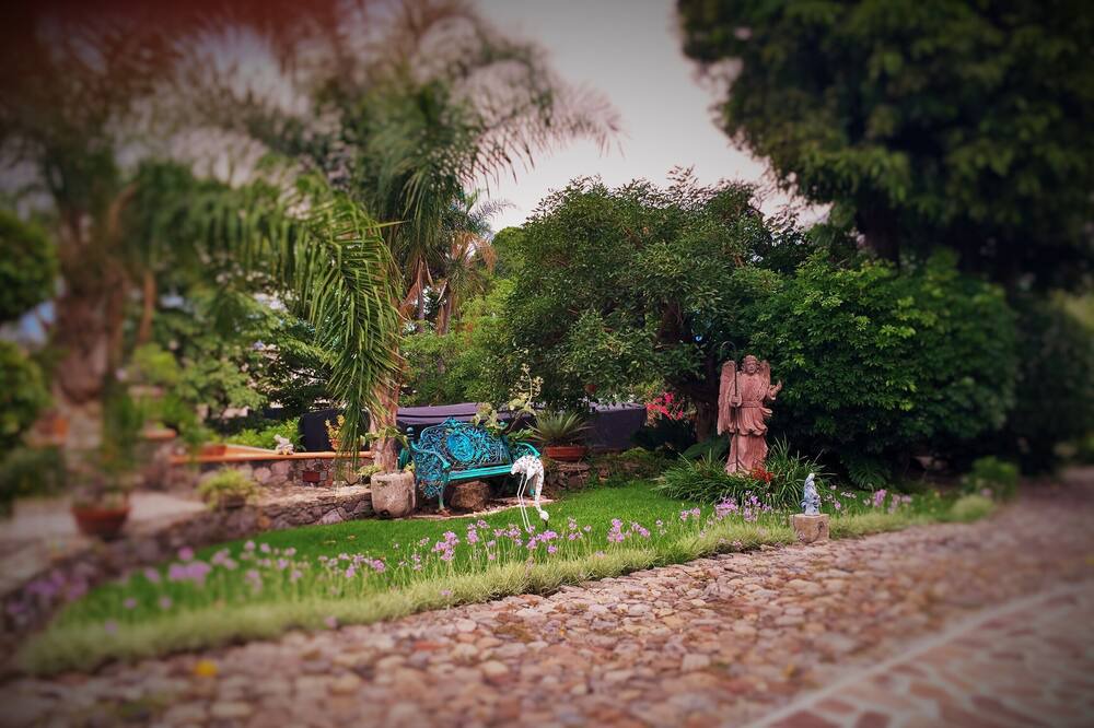 Photo of Outdoor in Ajijic