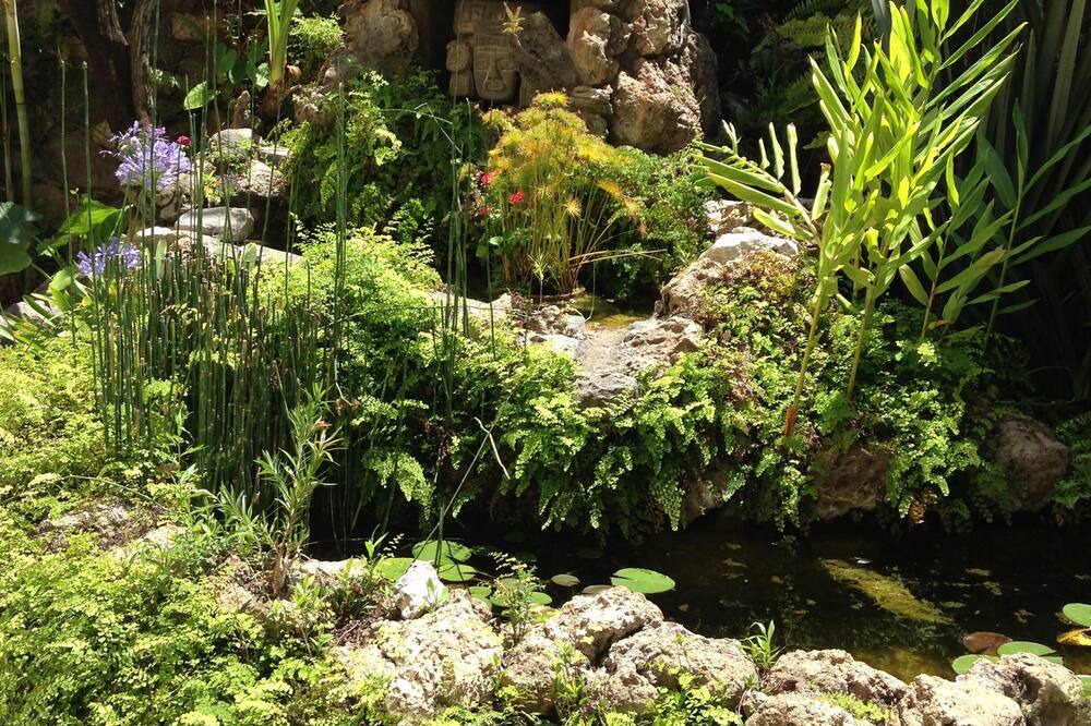 Photo of Outdoor in Ajijic