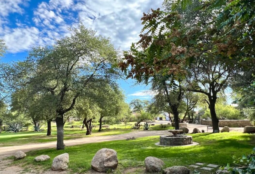 Photo of Outdoor in Oracle