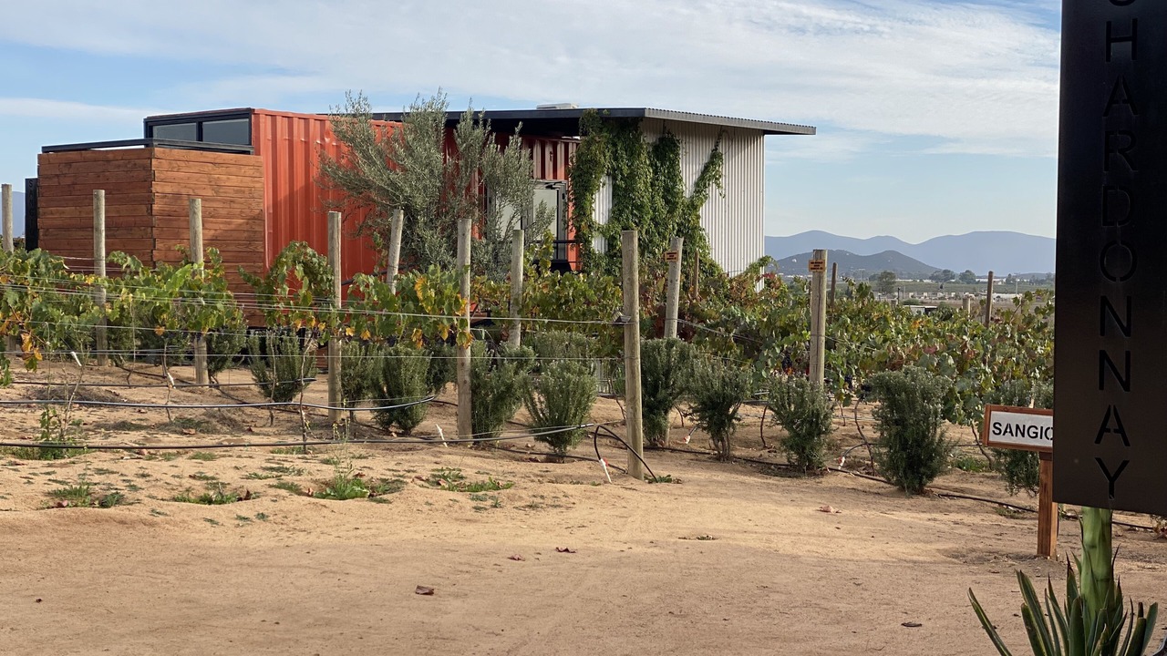 Photo of Others in Valle de Guadalupe