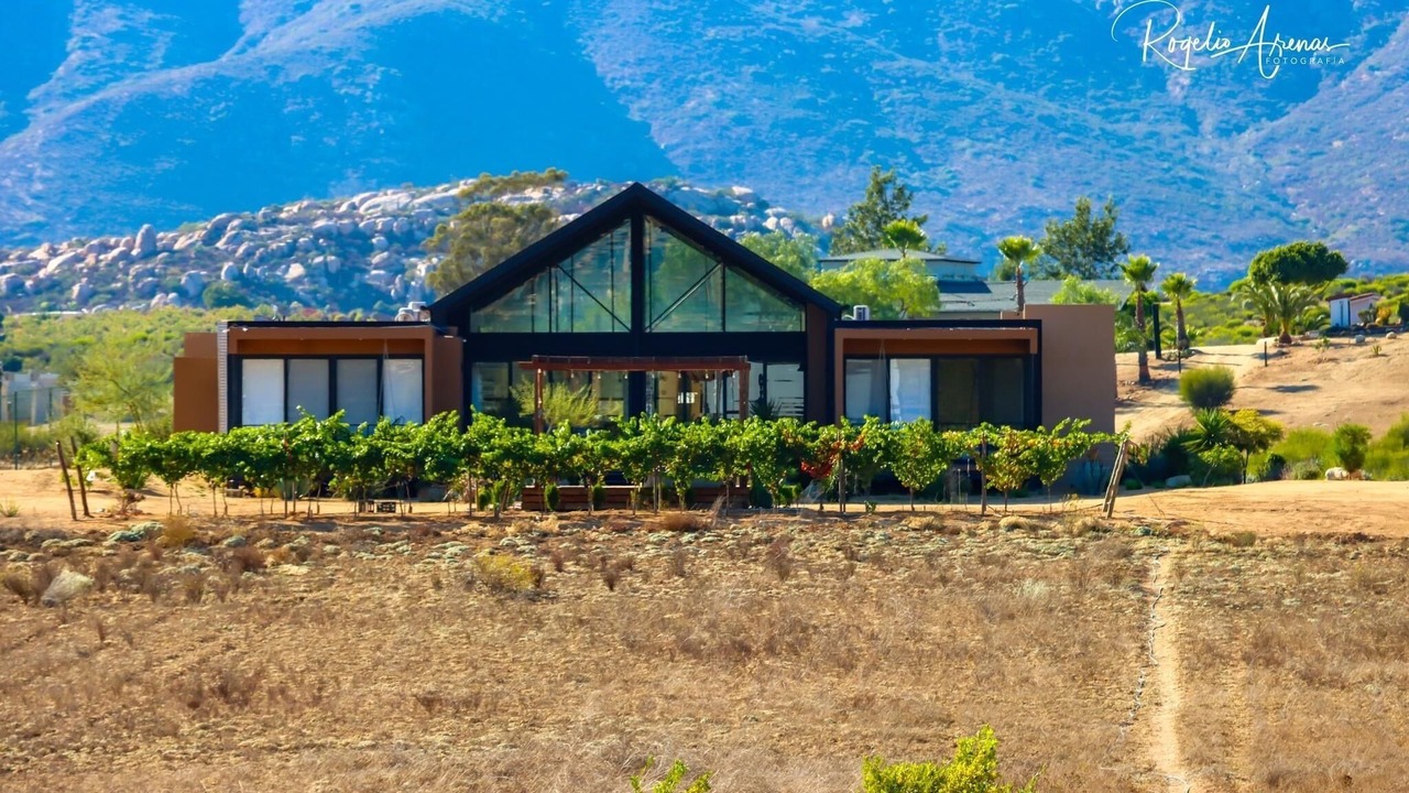 Photo of Others in Valle de Guadalupe