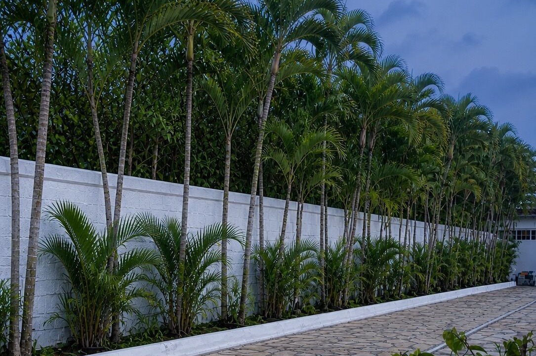 Photo of Outdoor in Altamira