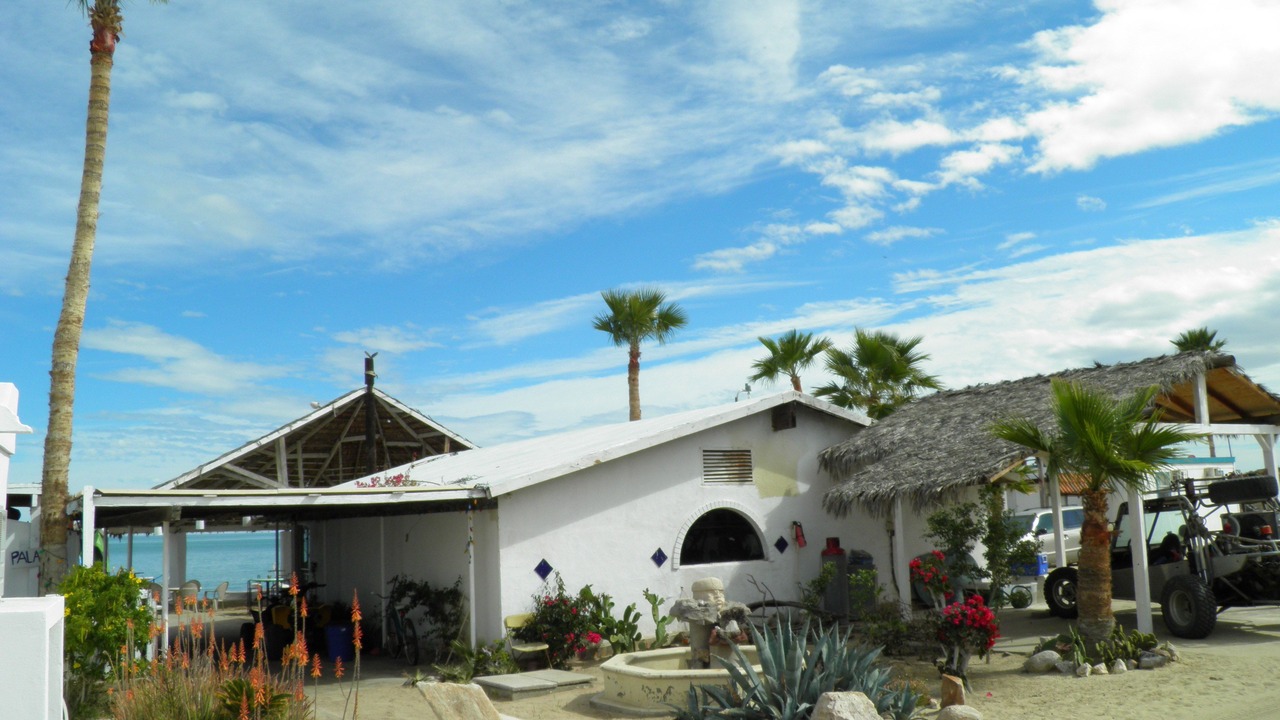 Photo of Others in San Felipe
