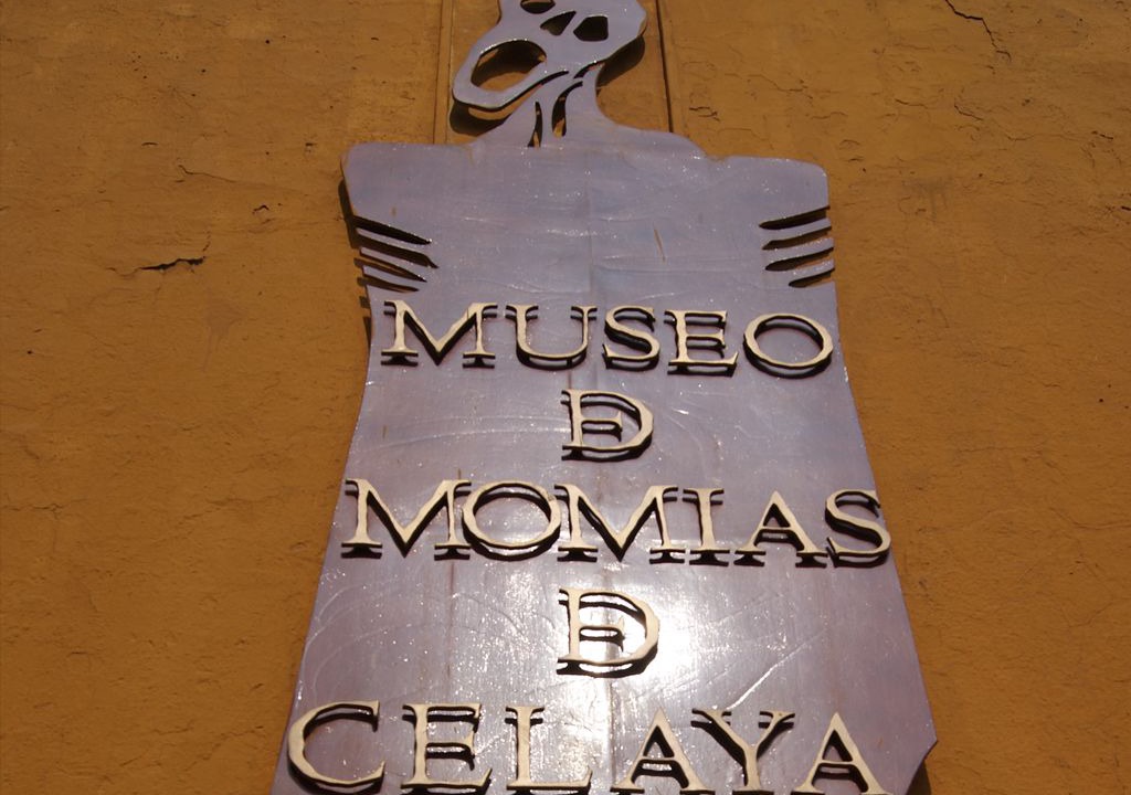 Photo of Others in Celaya