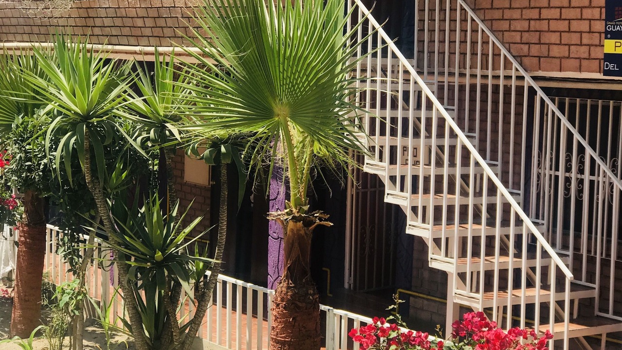 Photo of Patio Balcony in Guaycura