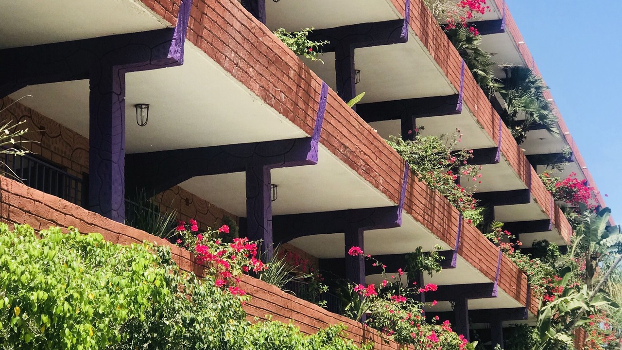 Photo of Outdoor in Guaycura