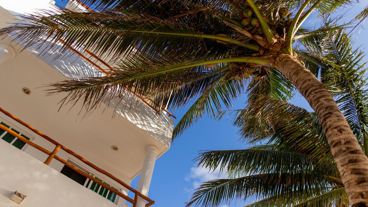 Photo of Outdoor in Puerto Morelos