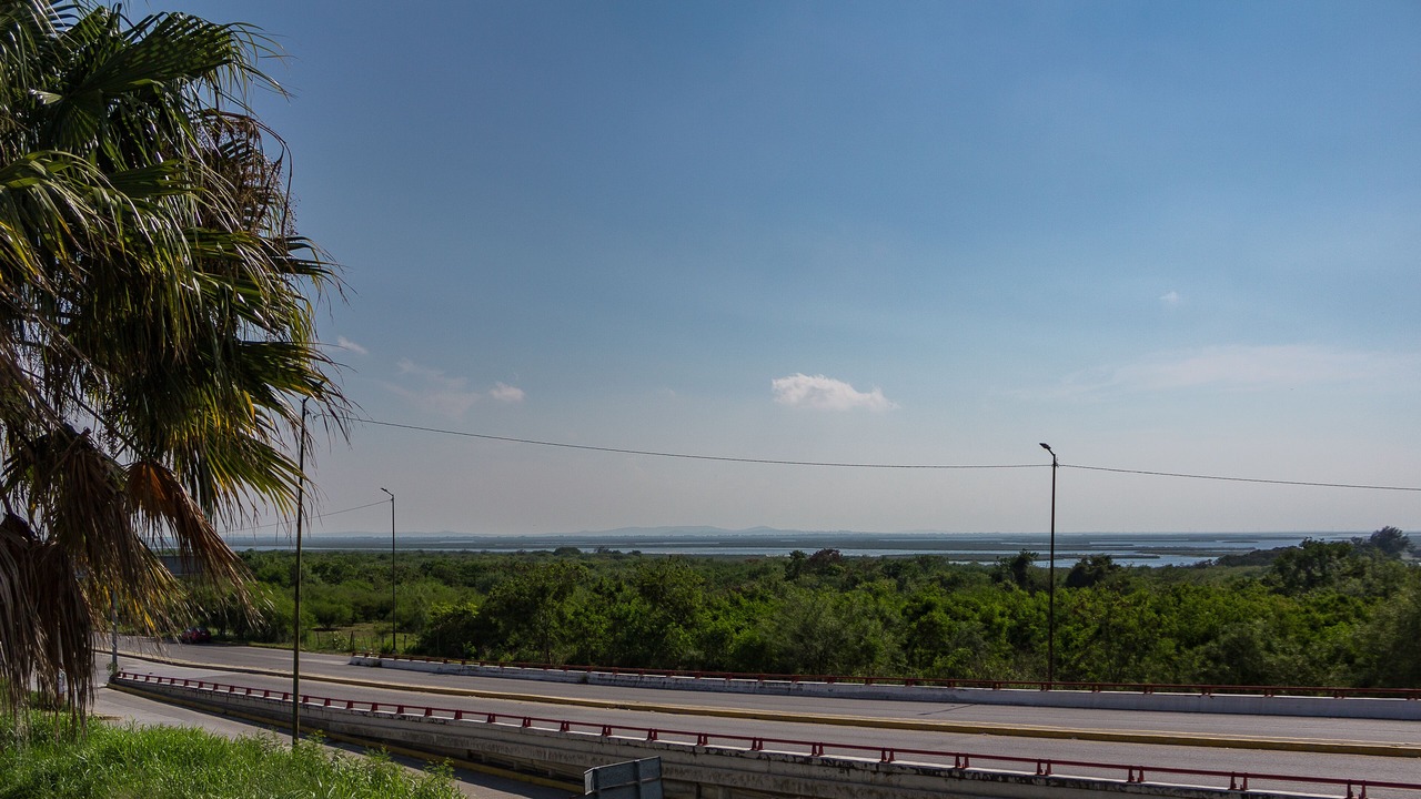 Photo of Others in Tampico