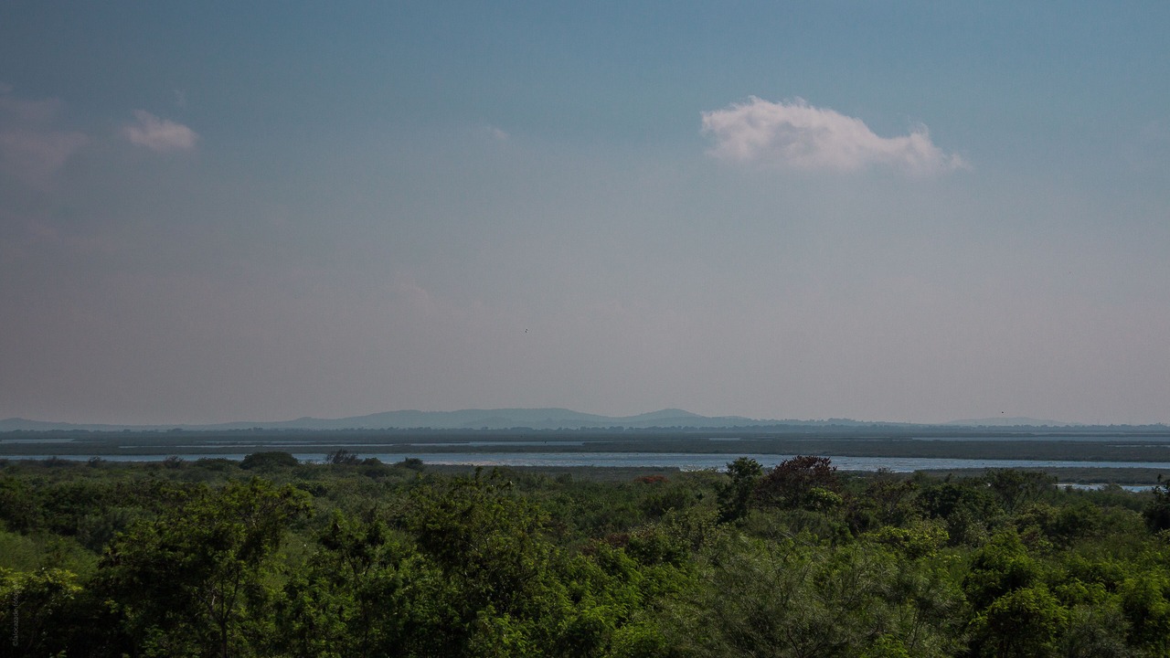Photo of Outdoor in Tampico