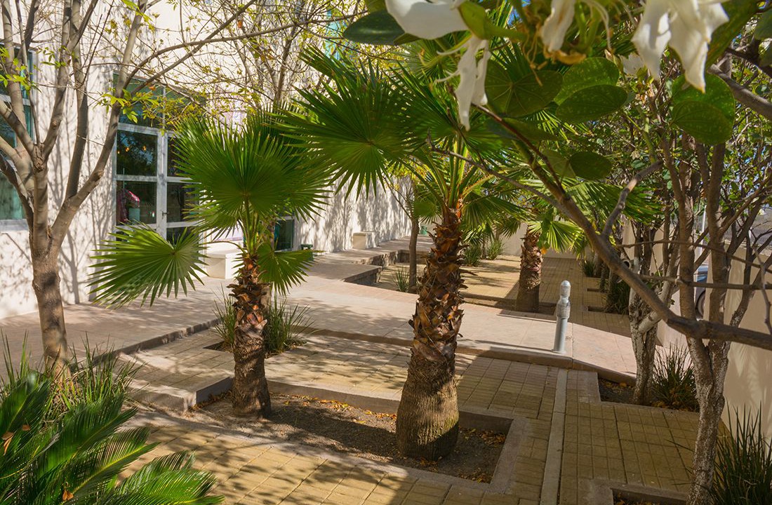 Photo of Patio Balcony in Penjamo