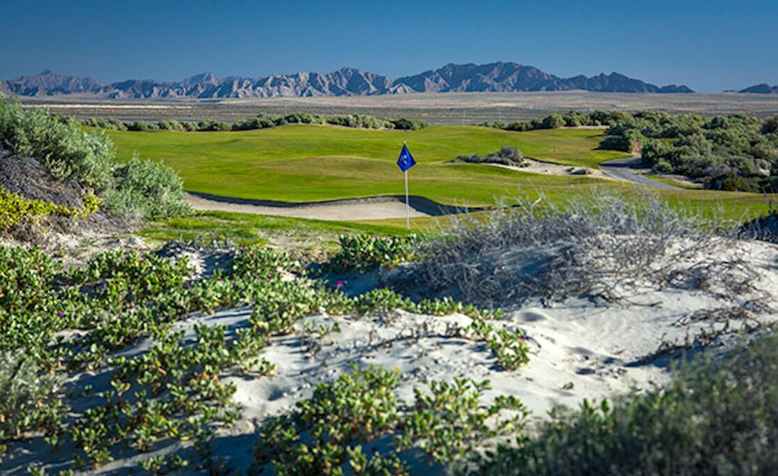 Photo of Others in Puerto Penasco