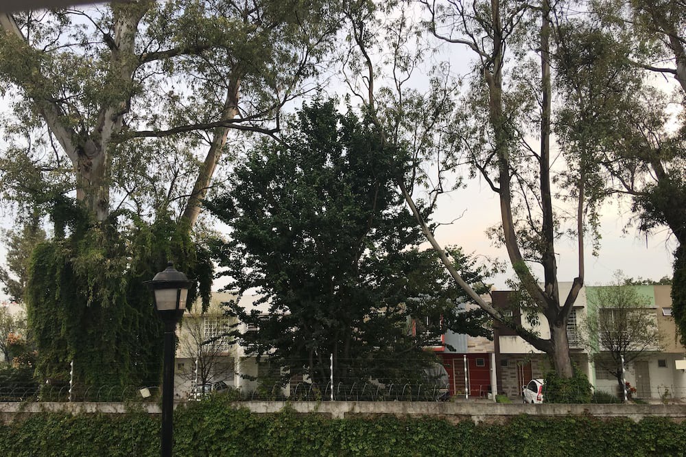 Photo of Others in Tlaquepaque
