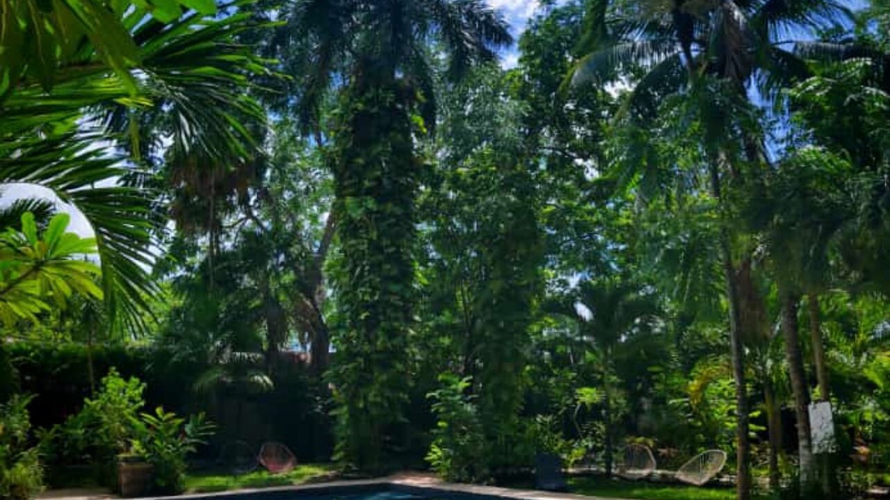 Photo of Outdoor in Centro