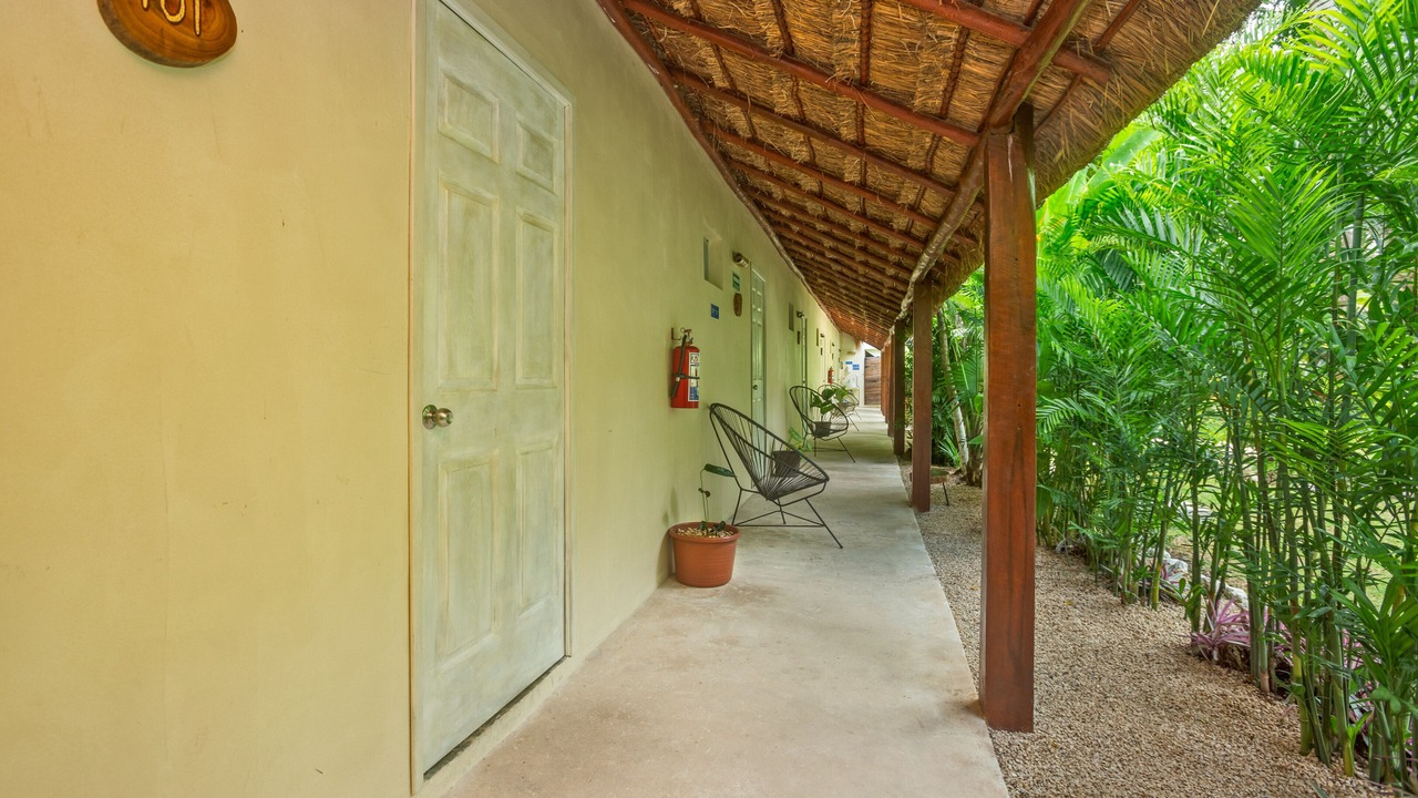 Photo of Outdoor in Centro