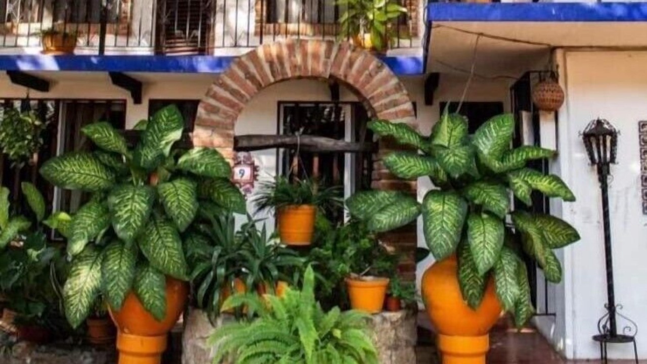 Photo of Outdoor in Acapulco