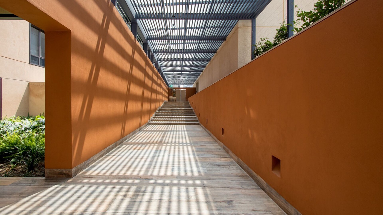 Photo of Others in Granada