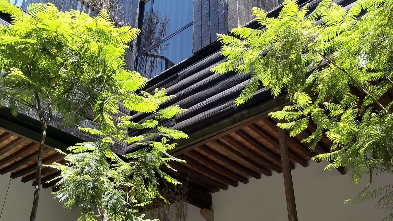 Photo of Outdoor in Leon Centro