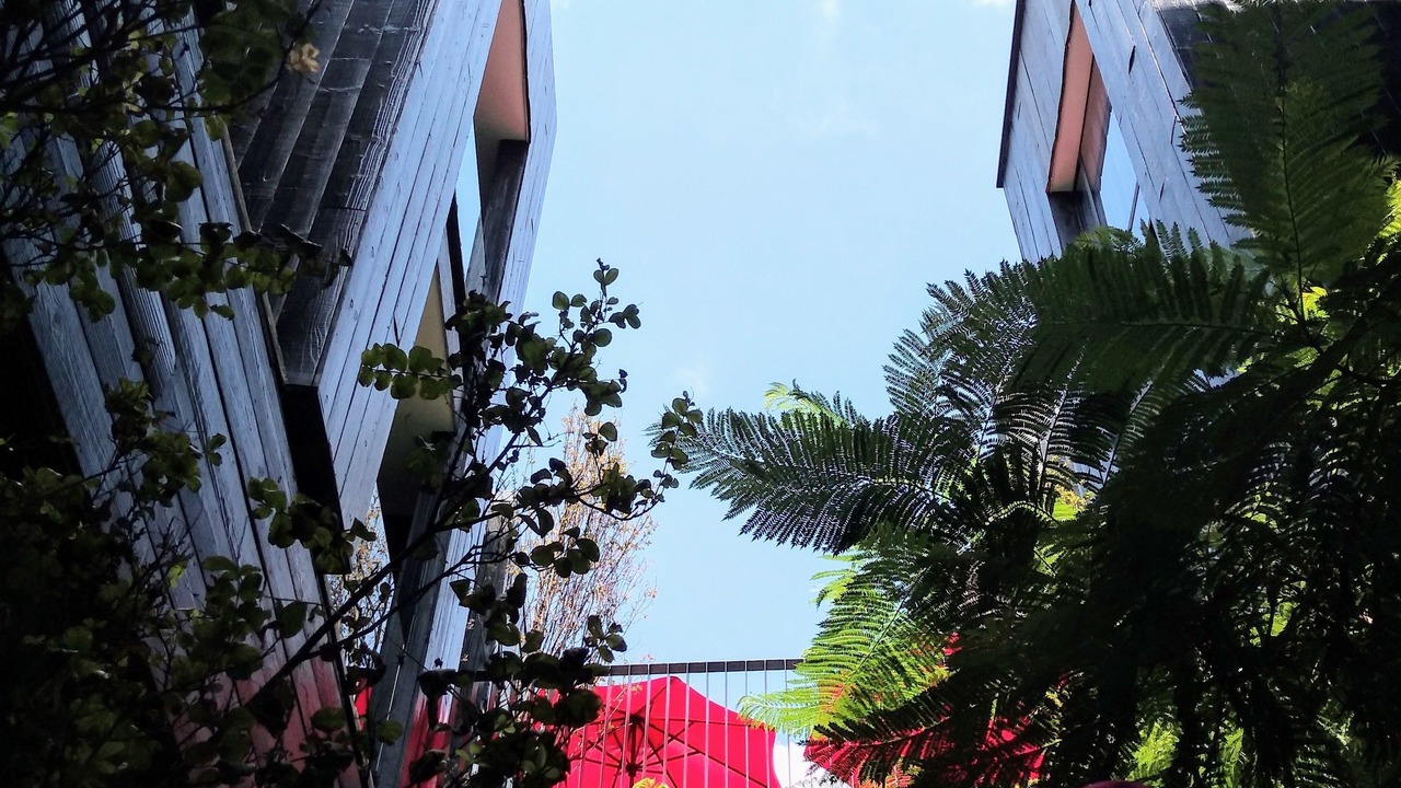 Photo of Outdoor in Leon Centro