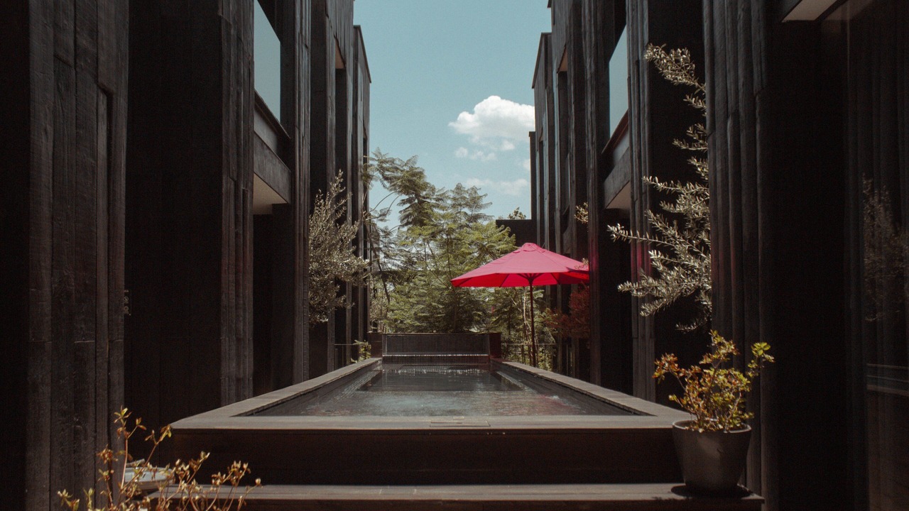 Photo of Outdoor in Leon Centro
