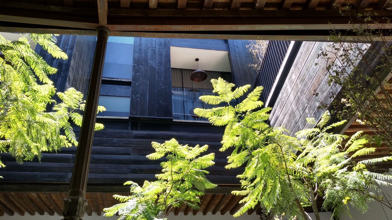 Photo of Others in Leon Centro
