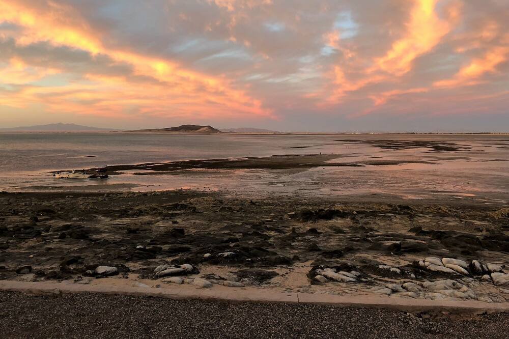 Photo of Outdoor in Cholla Bay