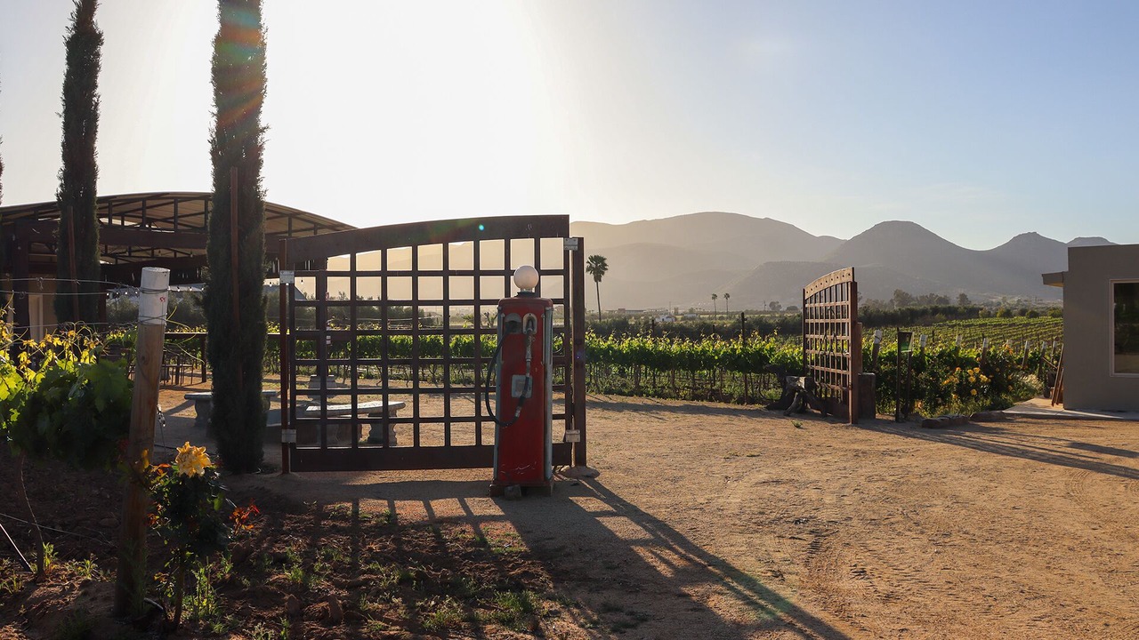 Photo of Outdoor in Valle de Guadalupe