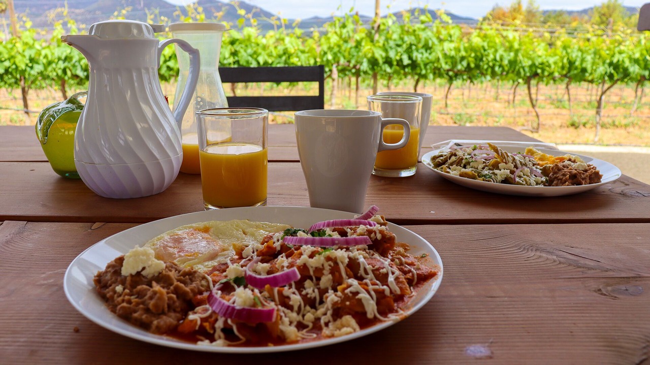 Photo of Others in Valle de Guadalupe