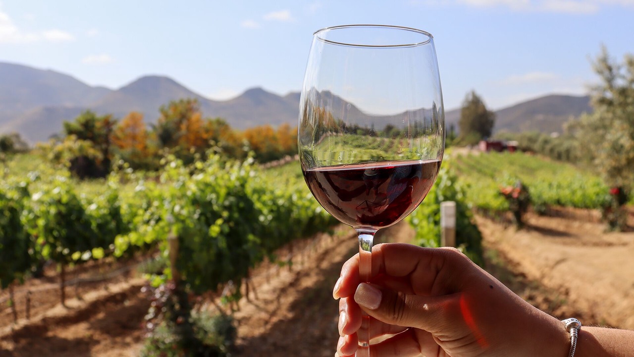 Photo of Outdoor in Valle de Guadalupe