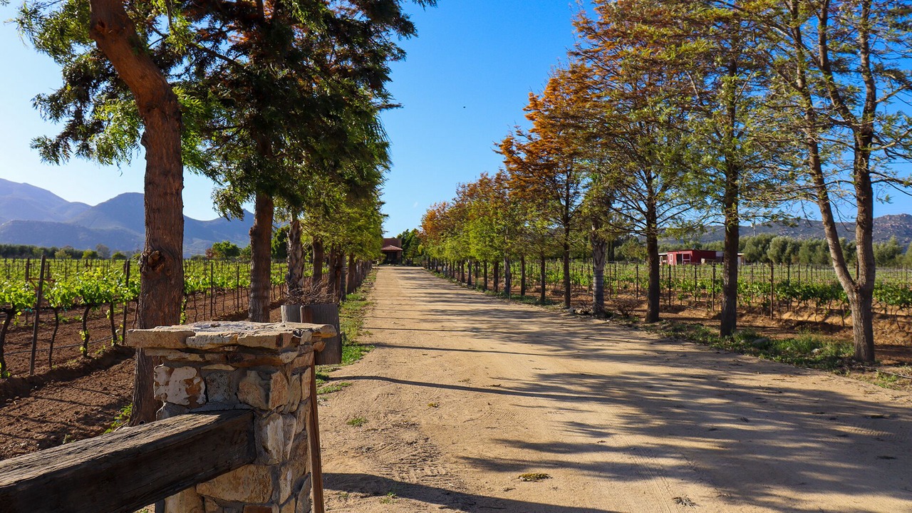 Photo of Outdoor in Valle de Guadalupe