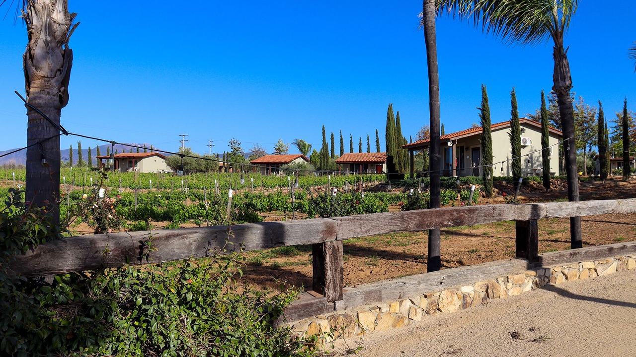 Photo of Outdoor in Valle de Guadalupe