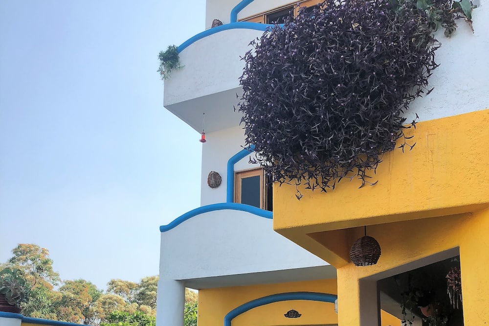 Photo of Outdoor in Playa la Madera