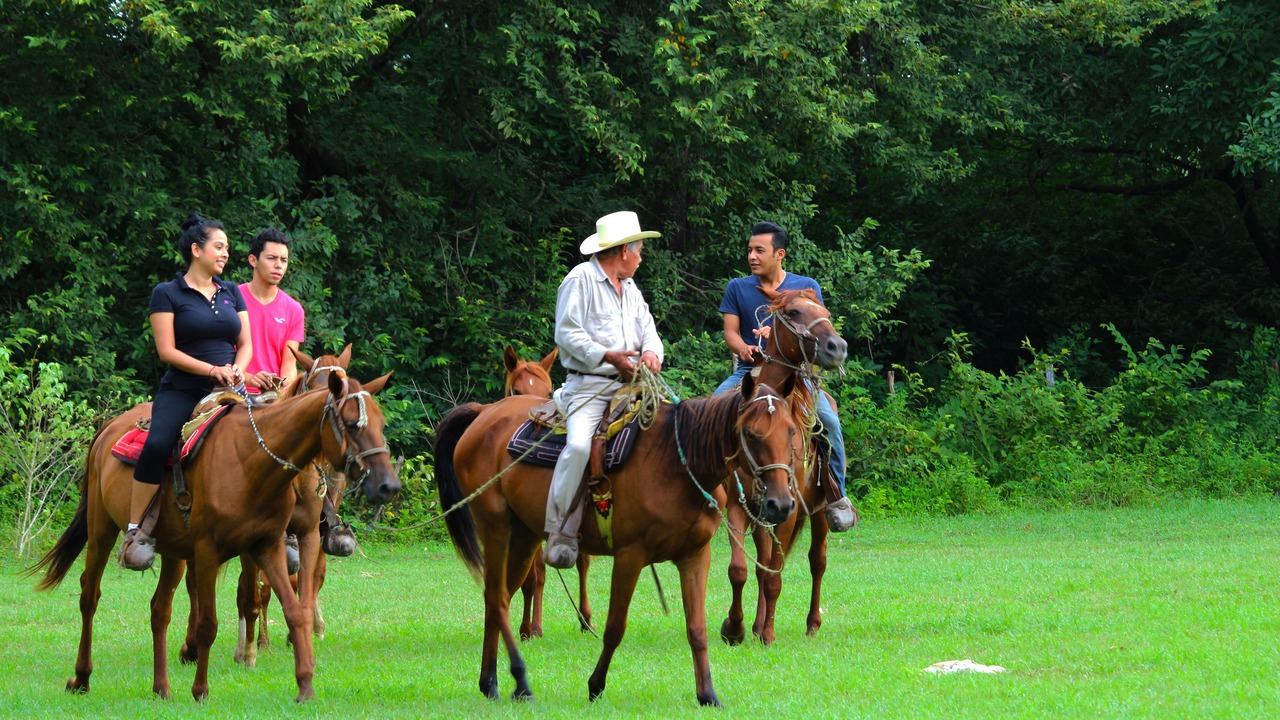 Photo of Others in Ciudad Valles