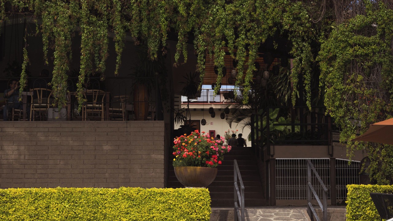 Photo of Outdoor in Tlaquepaque
