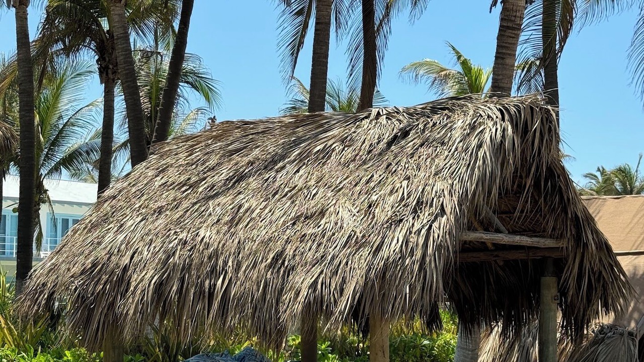 Photo of Others in Barra Vieja