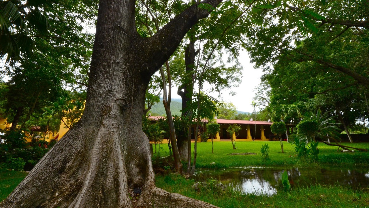 Photo of Outdoor in Arroyo Seco